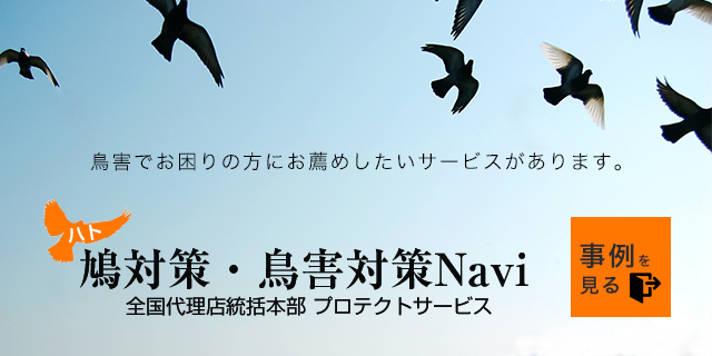 鳥害でお困りの方にお薦めしたいサービスがあります。ハト鳩対策・鳥害対策Navi　全国代理店統括本部プロテクトサービス　事例を見る
